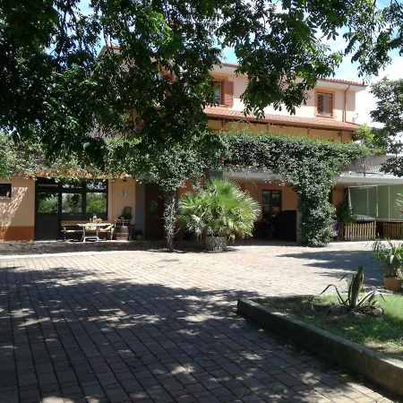 Guesthouse Skofije Ob Parenzani Spodnje Skofije Luaran gambar